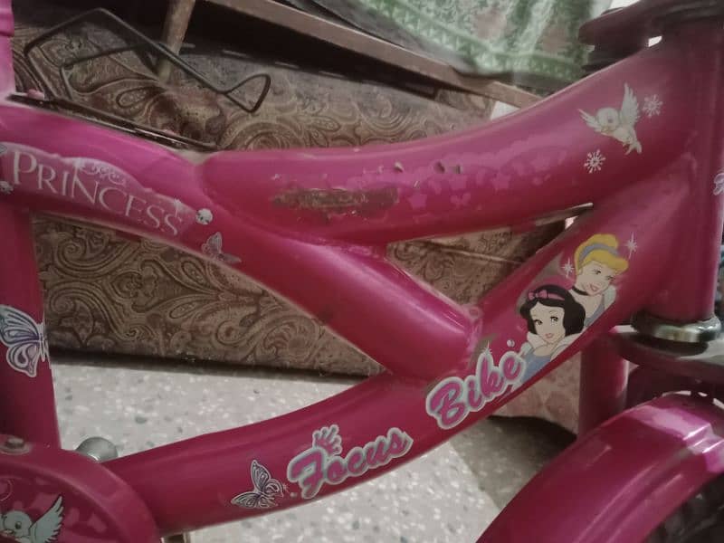 girls bicycle 0