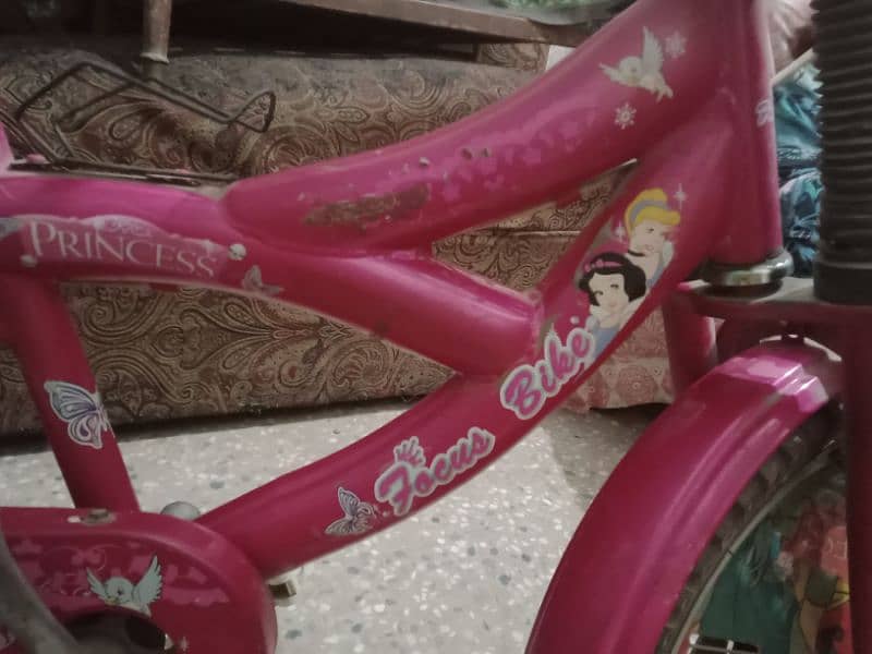 girls bicycle 1