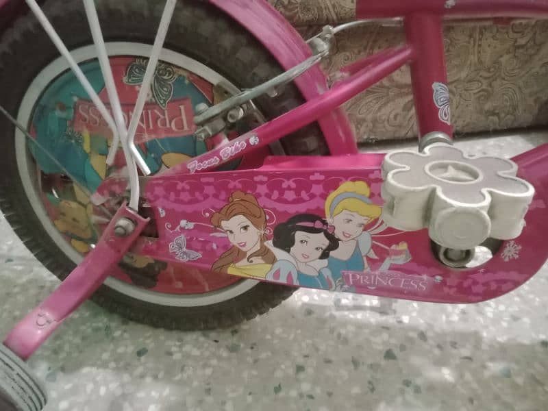 girls bicycle 2