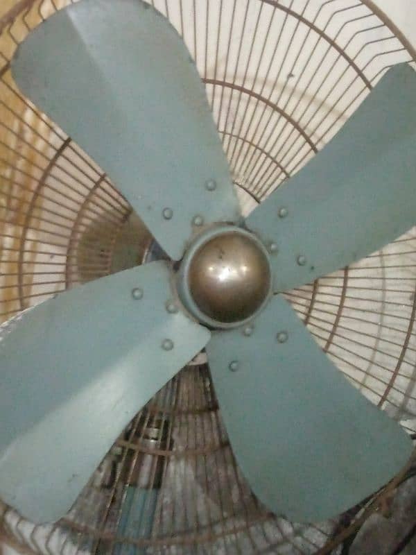 table fan 1