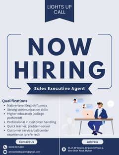 Sales Executive Agent Jr