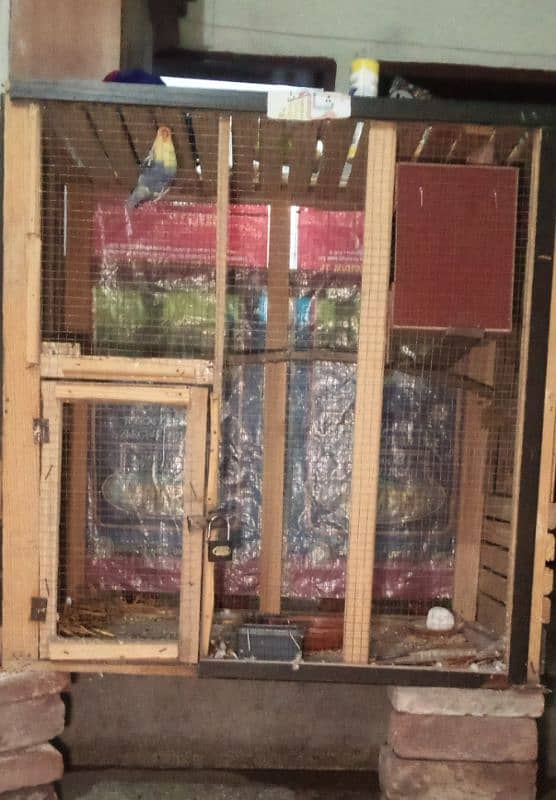 Birds Cages Urgent for sale 3