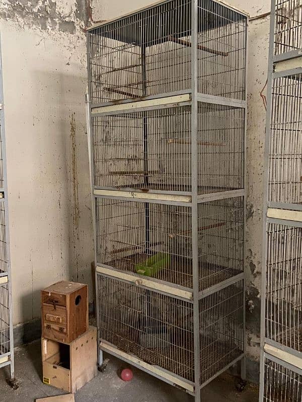 4 portion bird cages 1