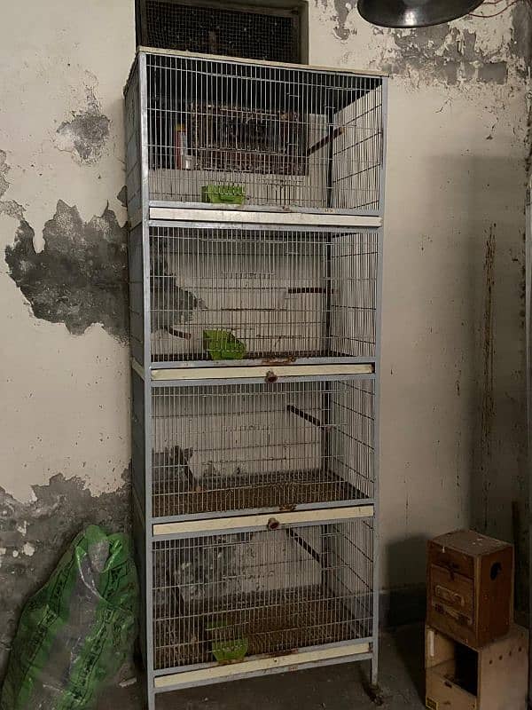 4 portion bird cages 2