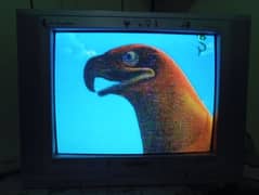 coloured TV