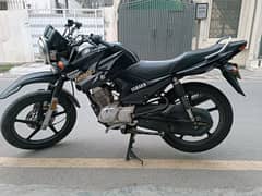 Yamaha YBR 125