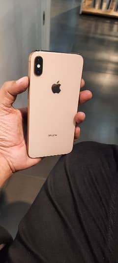 XS MAX