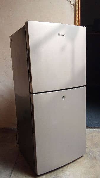 Haier HRF-216EBD ( Golden) E-Star Series Refrigerator, 08 Cubic Feet 2