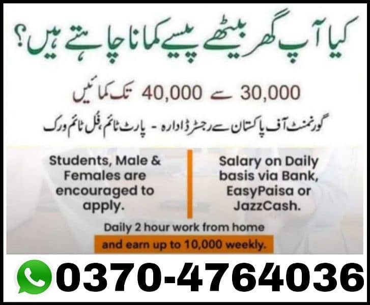 Online Work, Online Earning,Home work 0