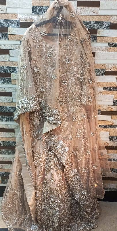 Bridal Net Maxi | Walima Maxi | Bridal Dress 3