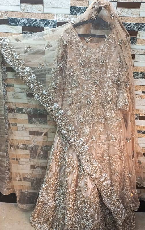 Bridal Net Maxi | Walima Maxi | Bridal Dress 4