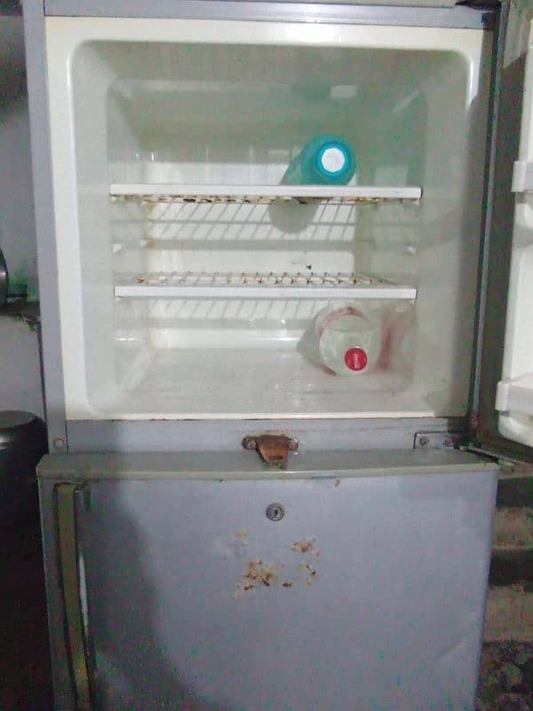 Fridge For Sale 4