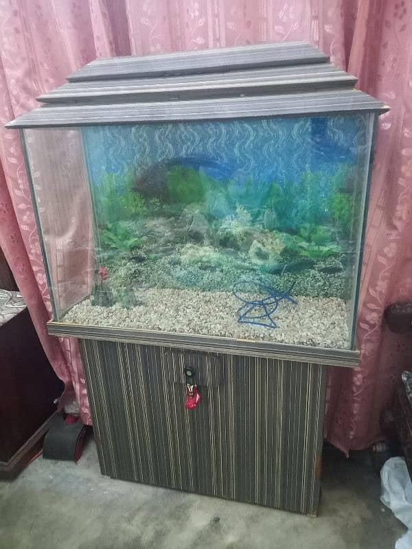 Fish aquariam 0