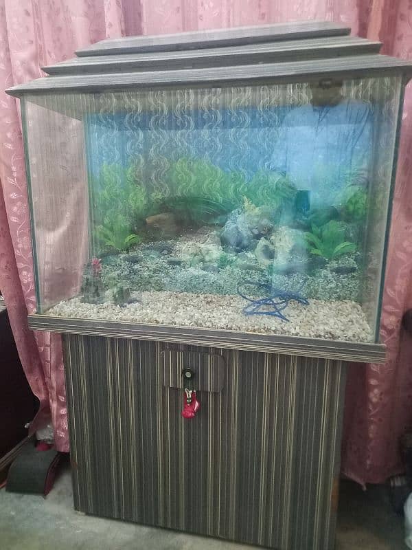 Fish aquariam 2