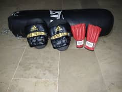 punching bag + gloves + focus mitts