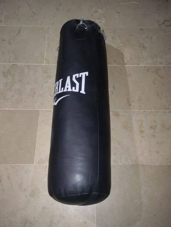 punching bag + gloves + focus mitts 1