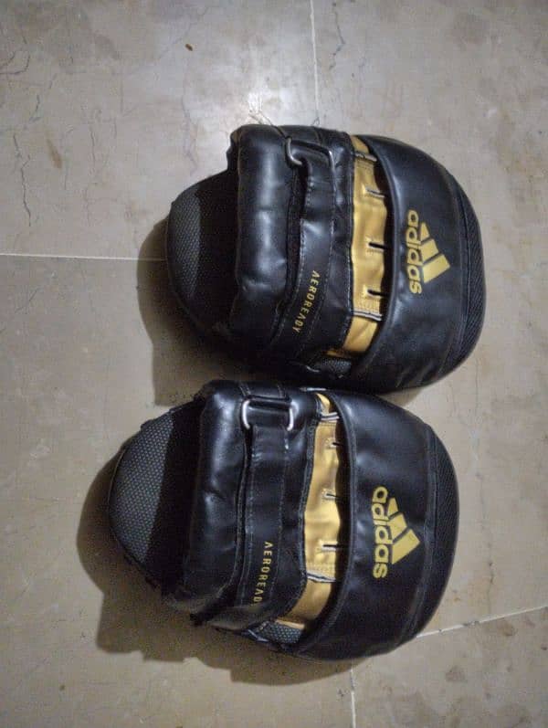 punching bag + gloves + focus mitts 2