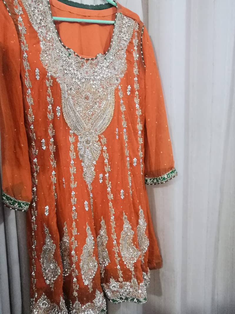 Heavy Embridered Dress with Free Necklace and Bindiya 4