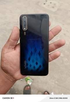 vivo