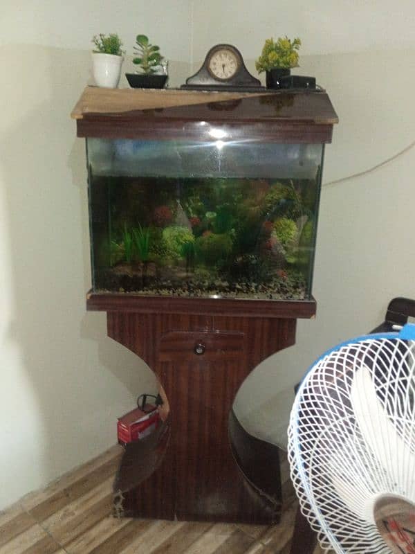 fish aquarium,2 fishes and stones and read description 0