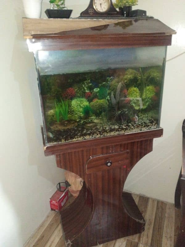 fish aquarium,2 fishes and stones and read description 3