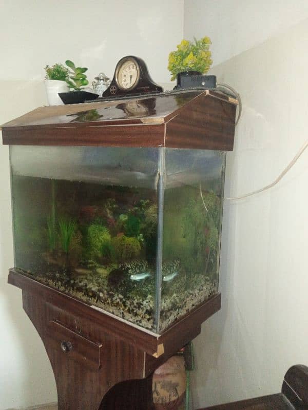 fish aquarium,2 fishes and stones and read description 4