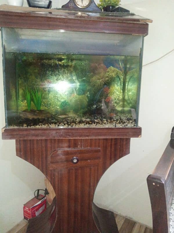 fish aquarium,2 fishes and stones and read description 5