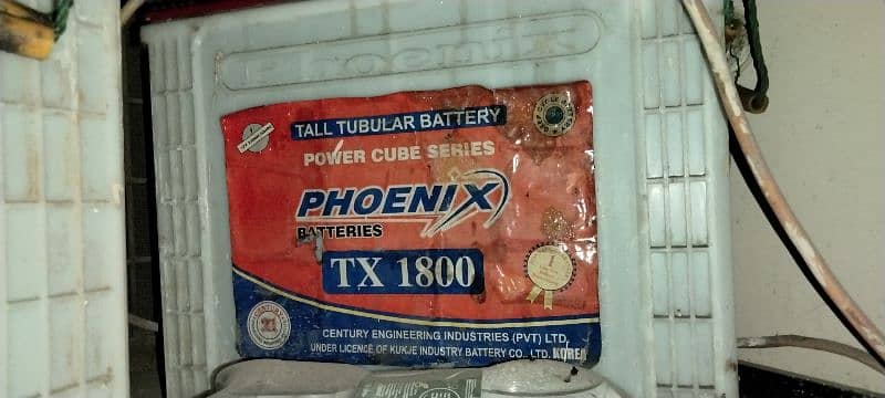 Inverex Hybrid Inverter and Tall Tubular Batteries Phoenix  TX 1800. 3