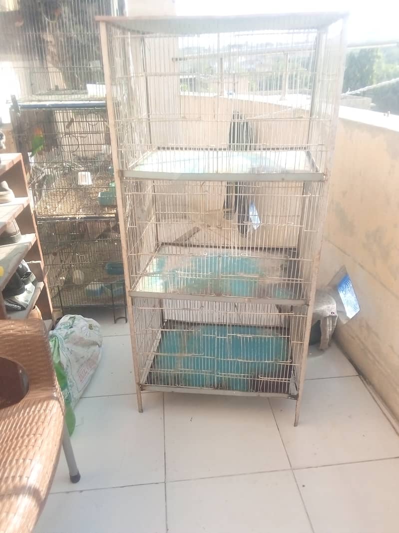 3 Portion Stong Angle Cage 12