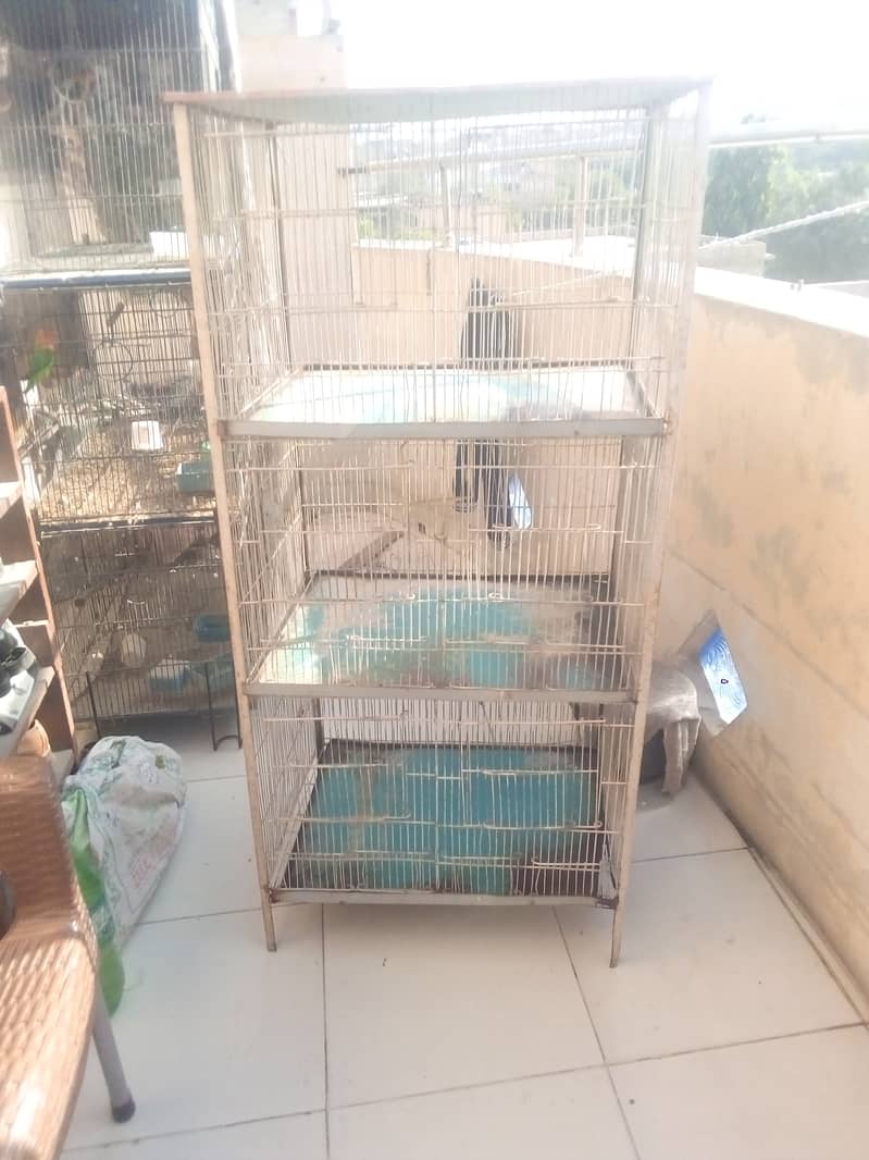 3 Portion Stong Angle Cage 13