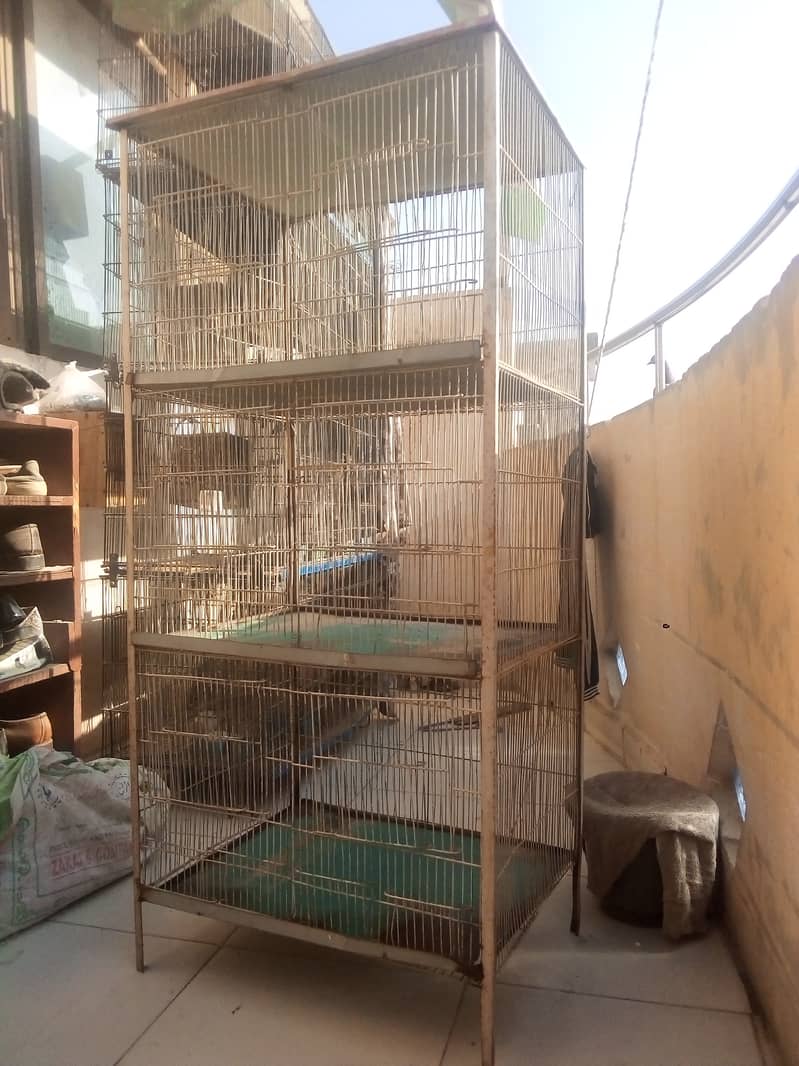 3 Portion Stong Angle Cage 15