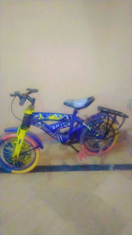 smart rider bicycle 1