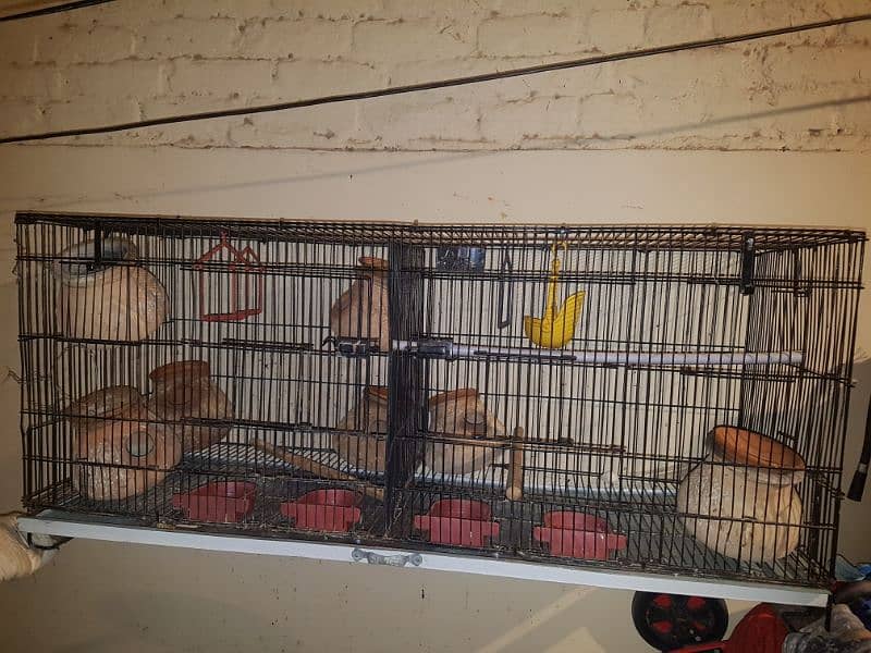 Birds Cage 0