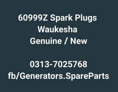 Waukesha Spark Plugs 60999Z