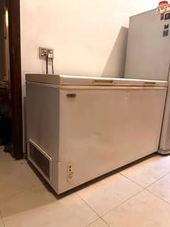 full size deep freezer/ fully functioning