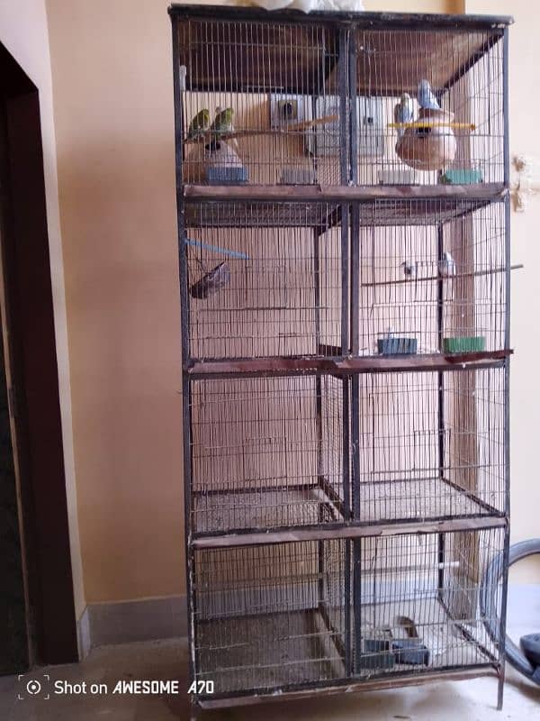 Birds cage 0