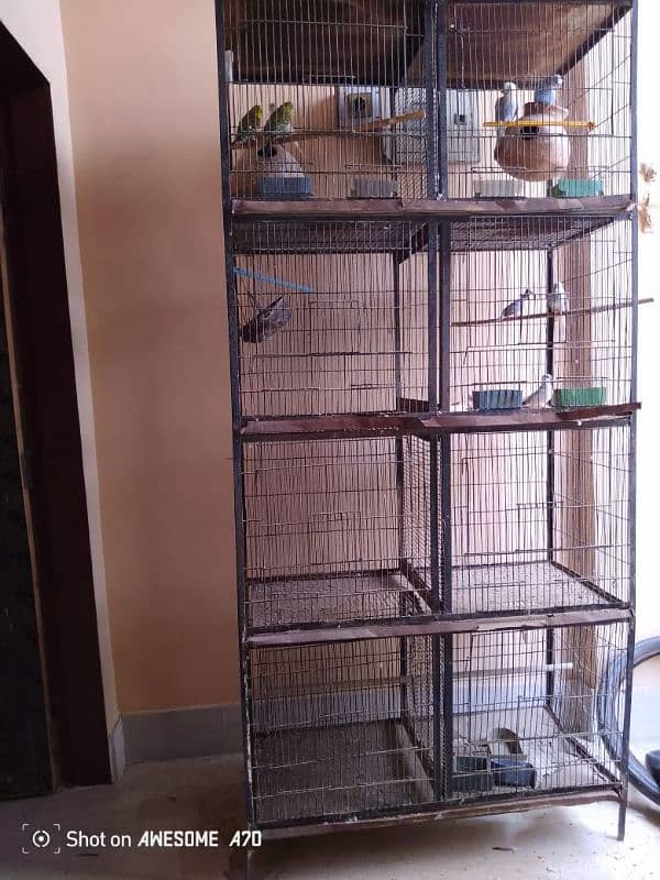 Birds cage 1