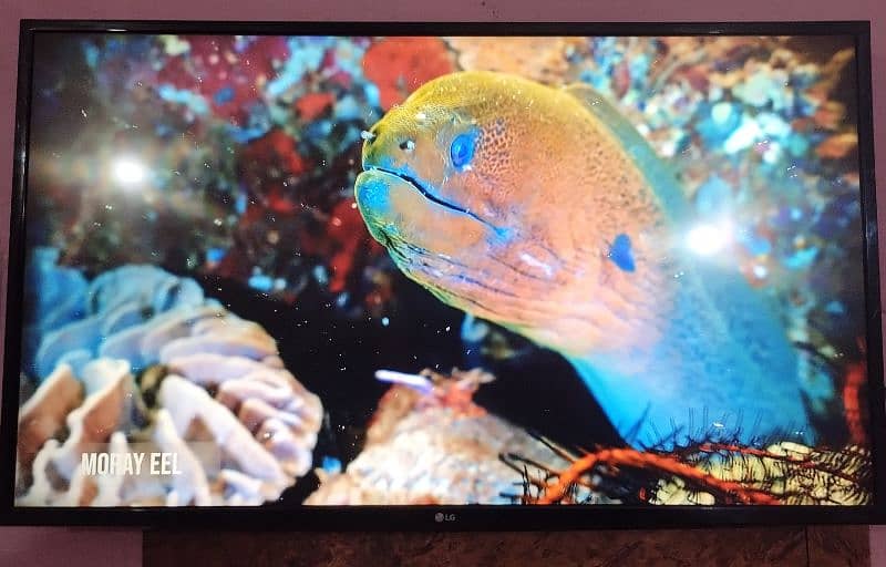 LED TV LG 43"inch  4k Ultra HD WebOS Smart LED TV 1