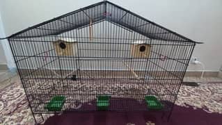 Cage for bird's