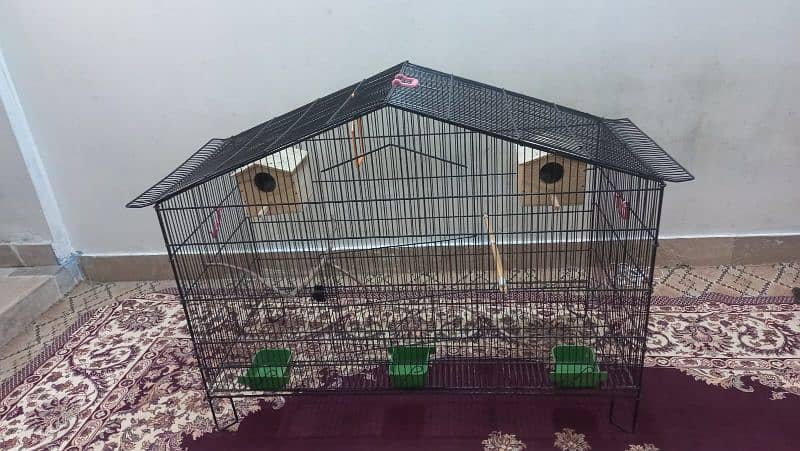 Cage for bird's 1