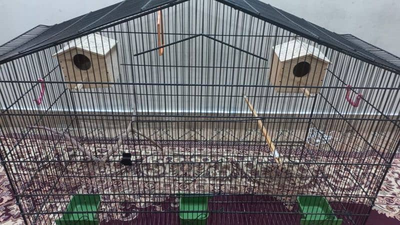 Cage for bird's 2