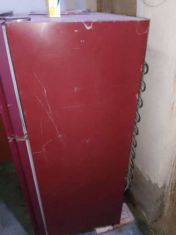 medium Size Fridge Glass door 1