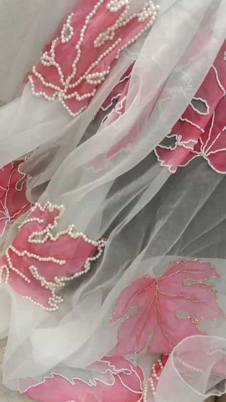 Organza Dupatta With Hand Embroidery and Hand Painted 1