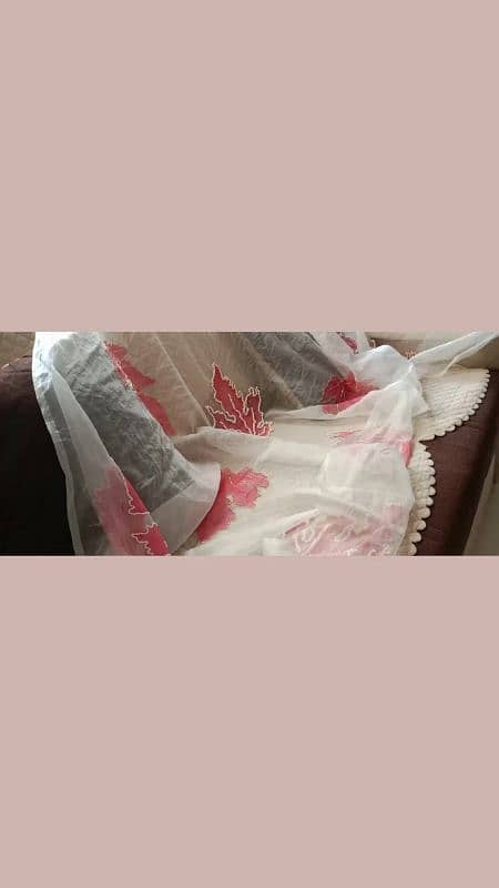 Organza Dupatta With Hand Embroidery and Hand Painted 3