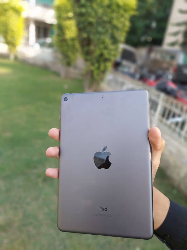 Apple Ipad Mini 5 256/3 Lush 0