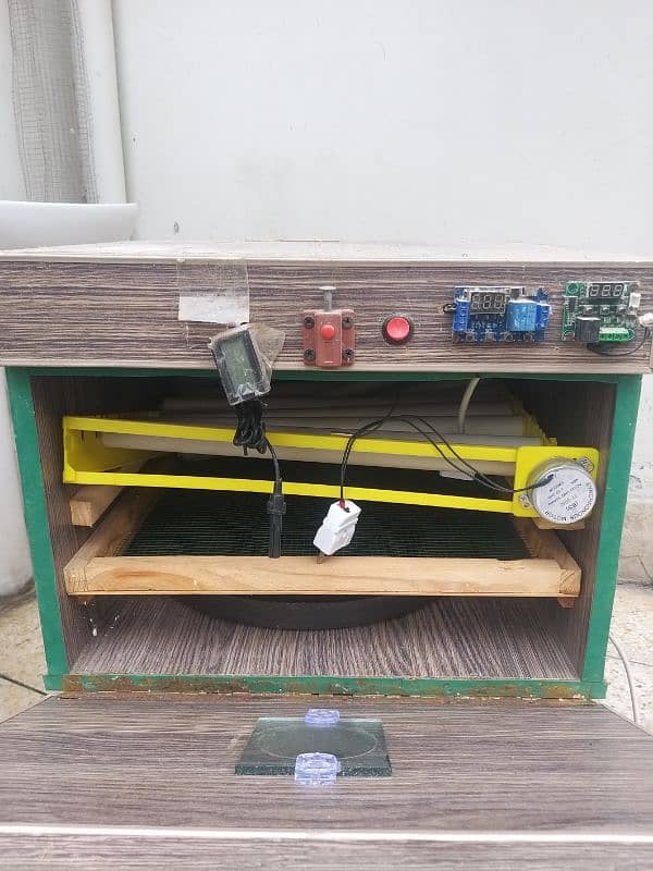 CAGE / GREEN FISHER / LUTINO PERSONATA / BUDGEES / INCUBATOR FOR SALE 6