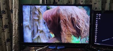 sony bravia 32 inch simple led original