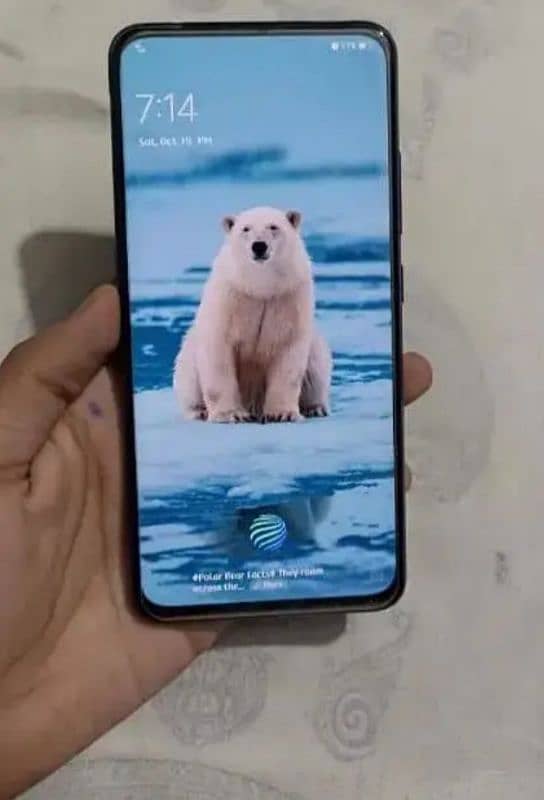 vivo v15 pro a1 condition 1