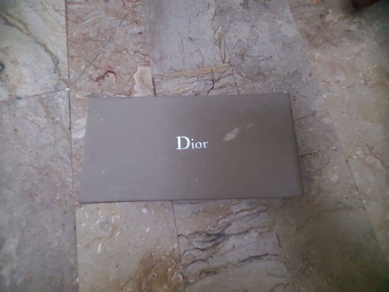 Dior oversized glassess 11