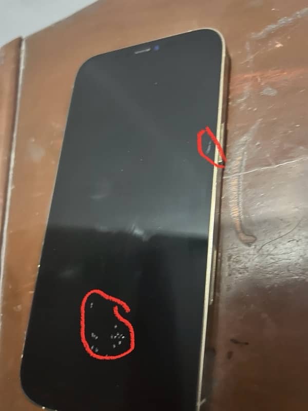 iPhone 12 Pro Max non pta 1